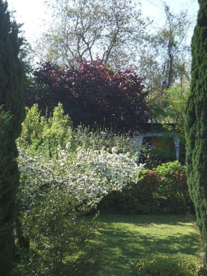 La Rose Tremiere Hotel Wintzenheim-Kochersberg Luaran gambar