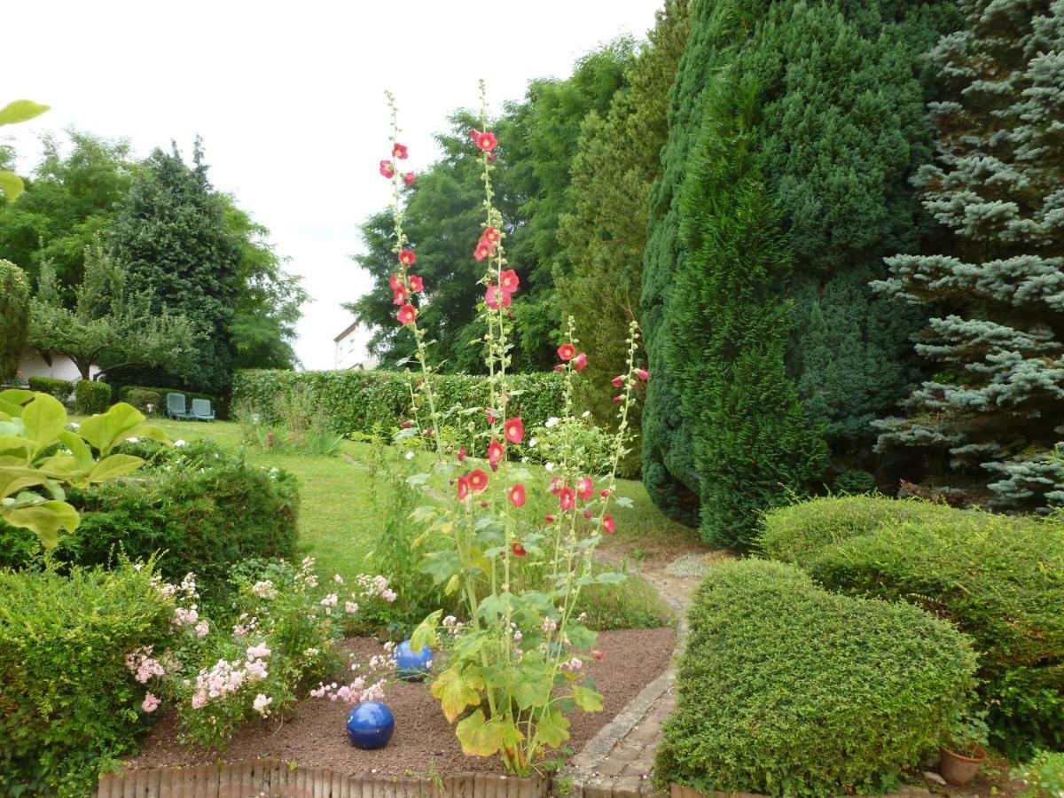 La Rose Tremiere Hotel Wintzenheim-Kochersberg Luaran gambar