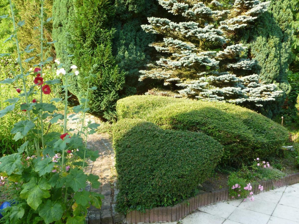 La Rose Tremiere Hotel Wintzenheim-Kochersberg Luaran gambar